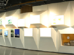 展廳設(shè)計的具體要求