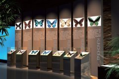 UCC傾力打造昆蟲博物館 真實(shí)還原昆蟲王國 - 展廳