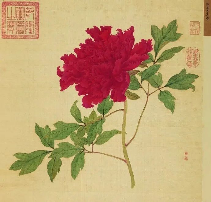 女神節(jié)之眾創(chuàng)國(guó)際的美麗傳說(shuō)~